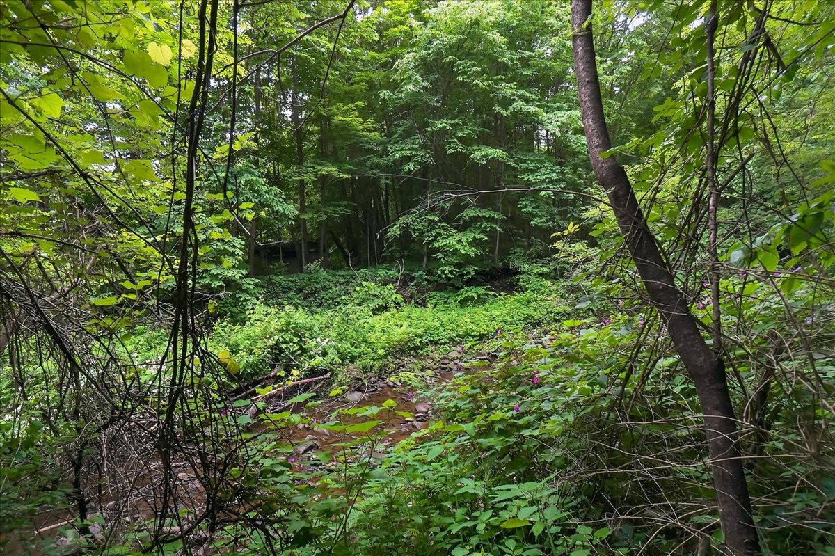 #61 photo, 585 Logtown Road, Fultonville , NY 12072