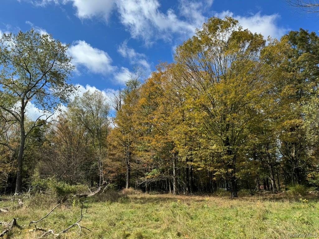 #10 photo, 24 Old Sackett Road, Rock Hill , NY 12775