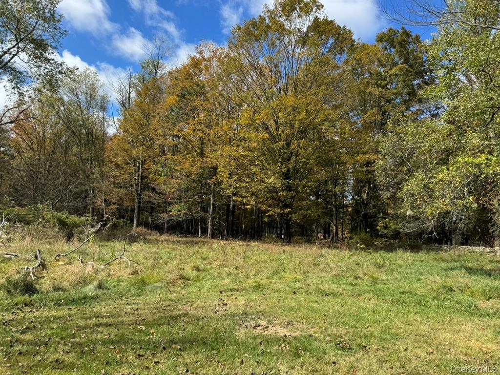 #4 photo, 24 Old Sackett Road, Rock Hill , NY 12775