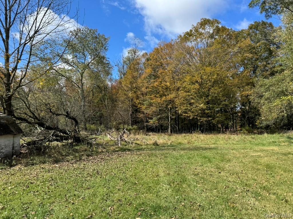 #8 photo, 24 Old Sackett Road, Rock Hill , NY 12775