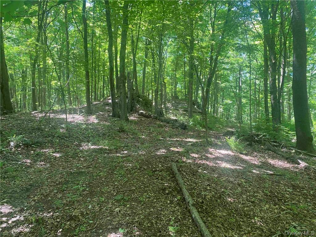 #5 photo, 234 W MARKET Street, Red Hook , NY 12571