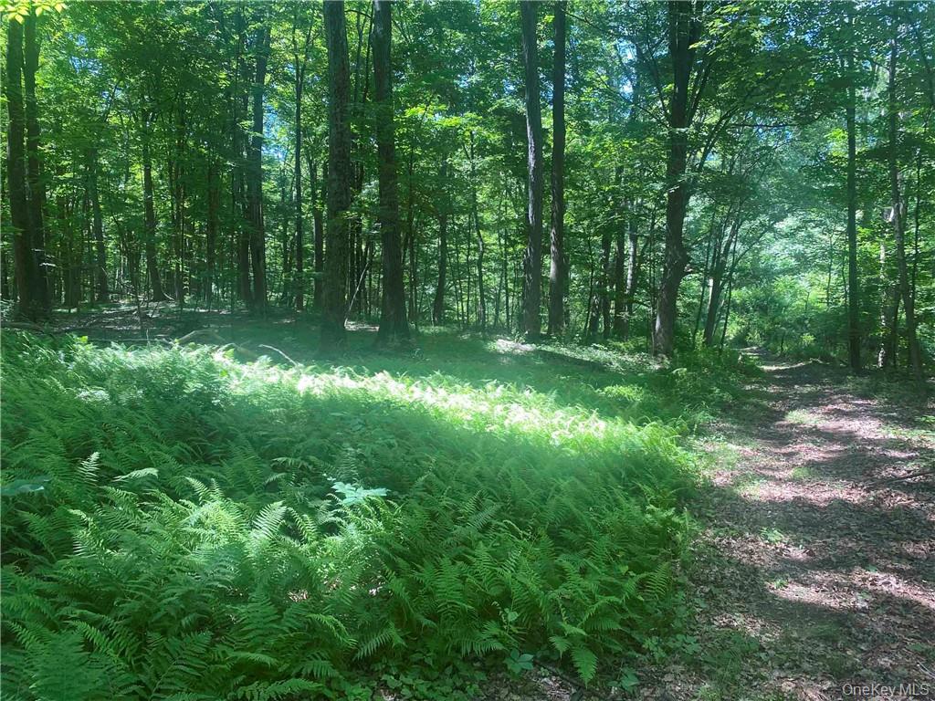 #6 photo, 234 W MARKET Street, Red Hook , NY 12571