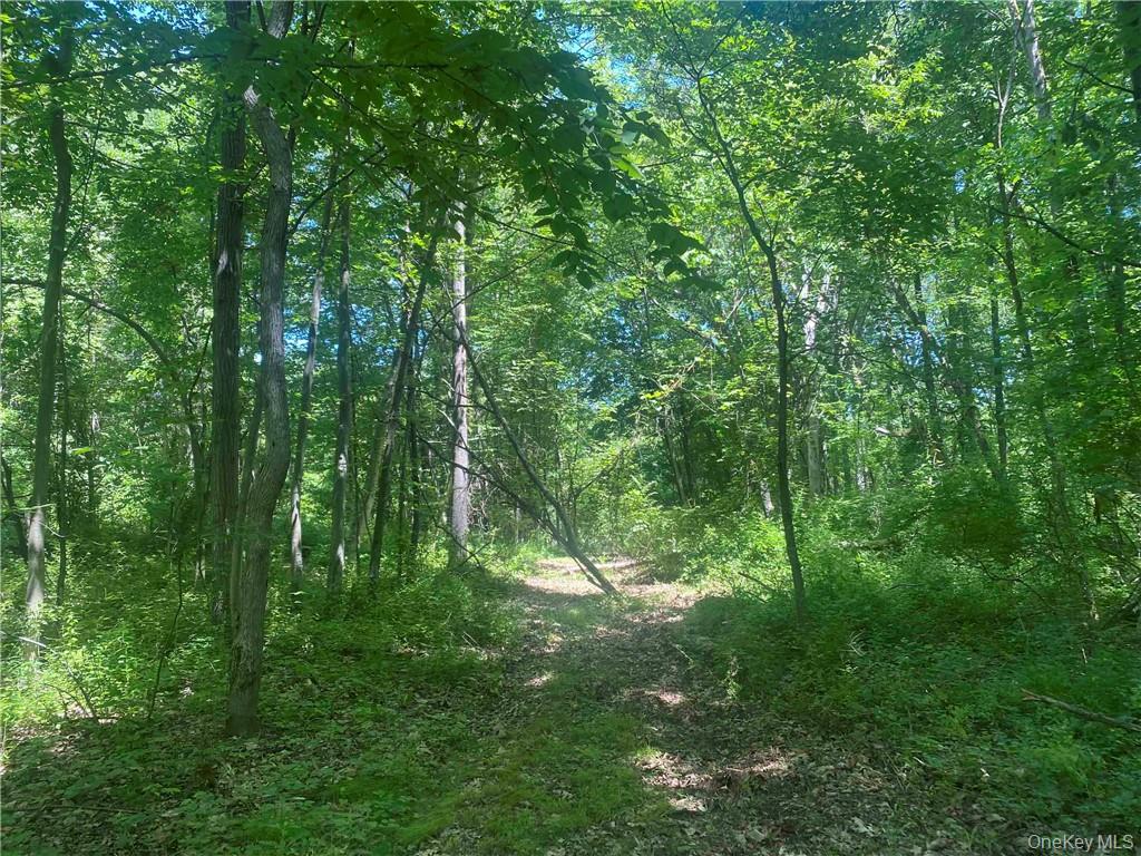 #7 photo, 234 W MARKET Street, Red Hook , NY 12571