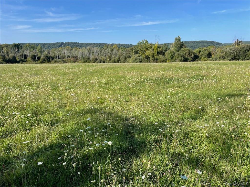 #7 photo, 234 Nichols  Road-  Lot 2, Brewster , NY 10509