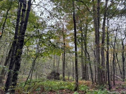 #10 photo, Little Ireland Road, Livingston Manor , NY 12758