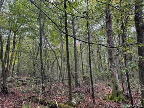 #11 photo, Little Ireland Road, Livingston Manor , NY 12758