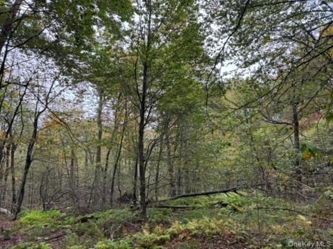 #12 photo, Little Ireland Road, Livingston Manor , NY 12758