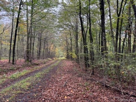 #2 photo, Little Ireland Road, Livingston Manor , NY 12758