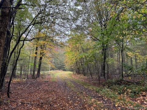 #3 photo, Little Ireland Road, Livingston Manor , NY 12758