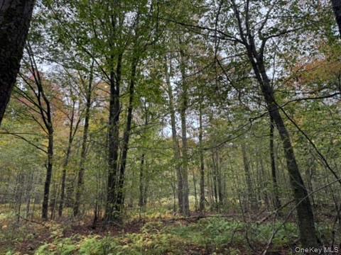 #4 photo, Little Ireland Road, Livingston Manor , NY 12758