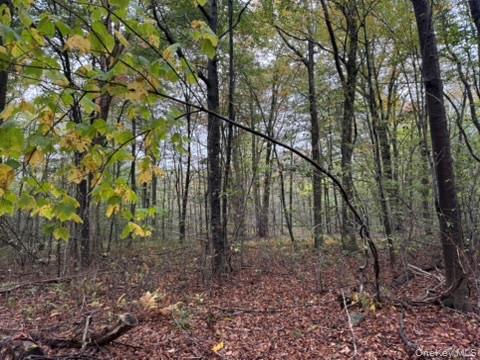 #5 photo, Little Ireland Road, Livingston Manor , NY 12758