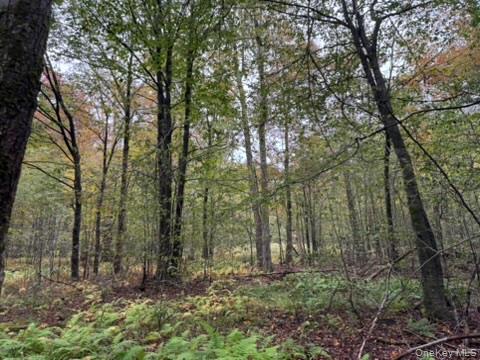 #6 photo, Little Ireland Road, Livingston Manor , NY 12758