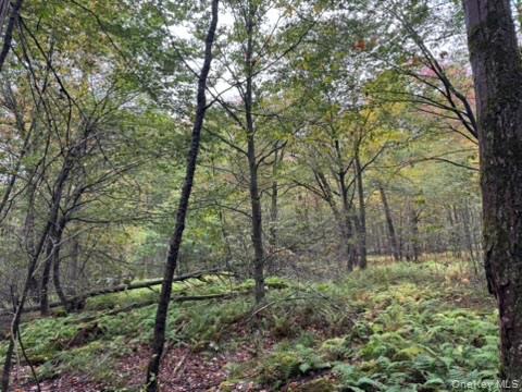 #7 photo, Little Ireland Road, Livingston Manor , NY 12758