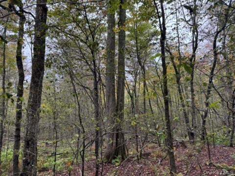 #8 photo, Little Ireland Road, Livingston Manor , NY 12758