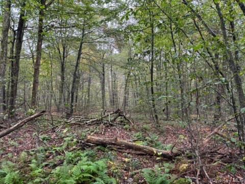 #9 photo, Little Ireland Road, Livingston Manor , NY 12758