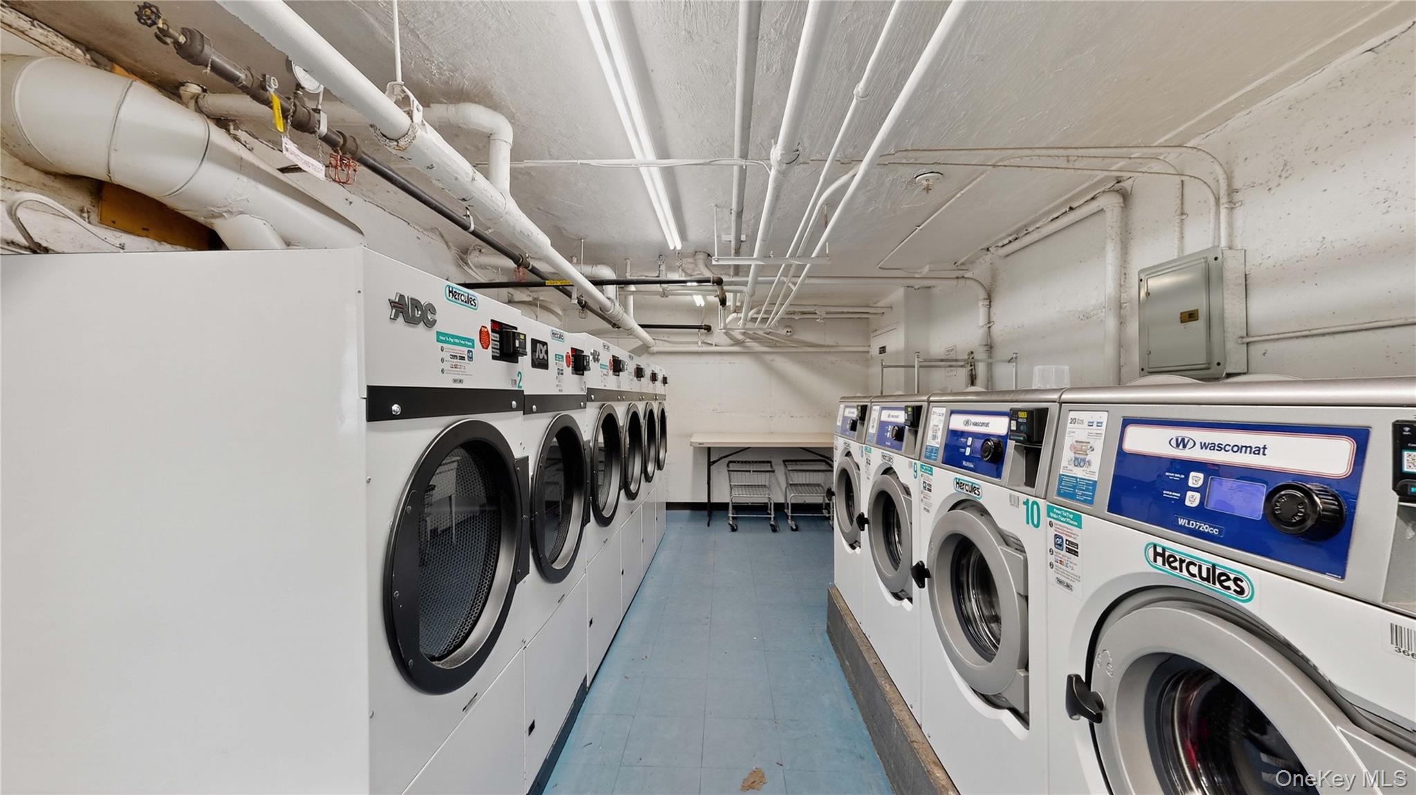 #16 photo, 52-30 39th Avenue, クイーンズ区 Woodside , NY 11377