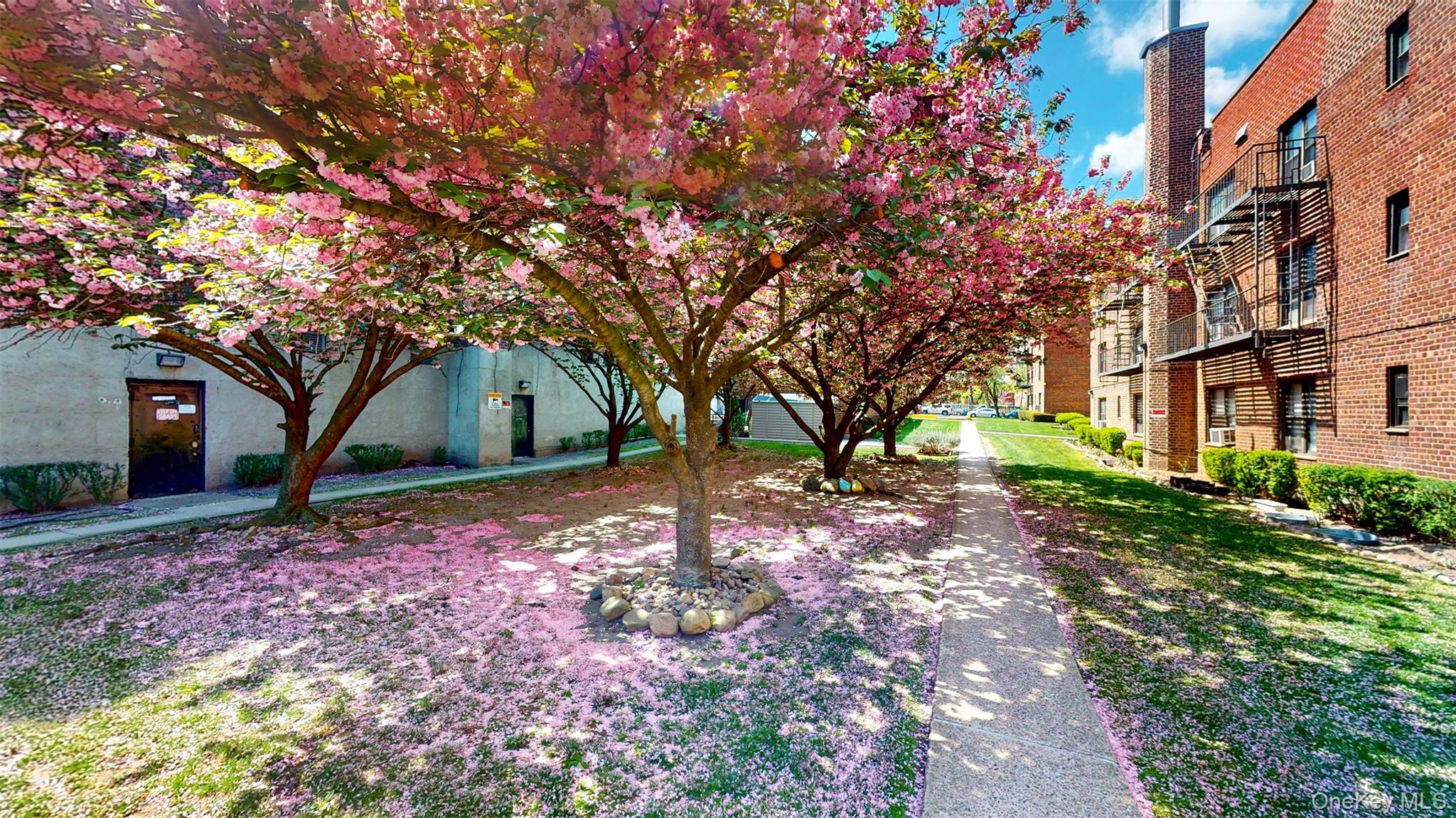 #3 photo, 52-30 39th Avenue, クイーンズ区 Woodside , NY 11377