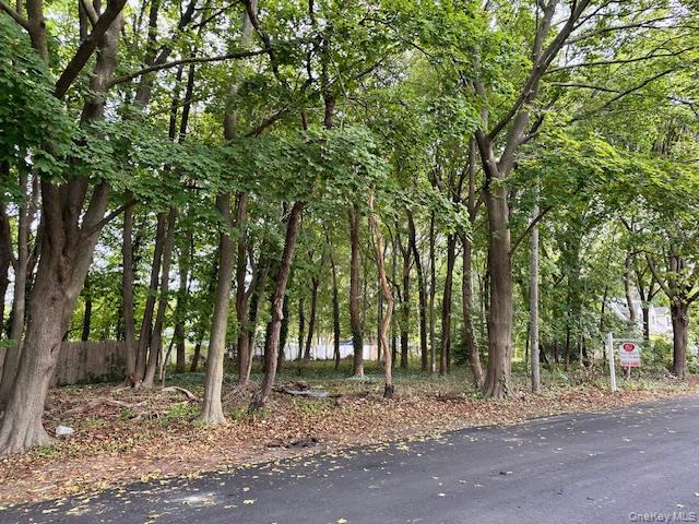 #1 photo, Lot 1 Grant Street, 东长岛 Port Jefferson Station , NY 