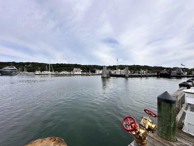 #3 photo, Lot 1 Grant Street, 东长岛 Port Jefferson Station , NY 