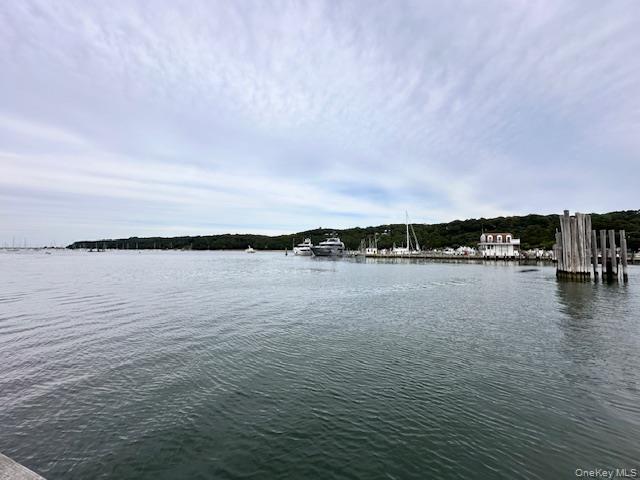 #4 photo, Lot 1 Grant Street, 东长岛 Port Jefferson Station , NY 