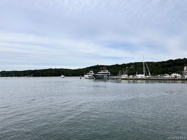 #5 photo, Lot 1 Grant Street, 东长岛 Port Jefferson Station , NY 