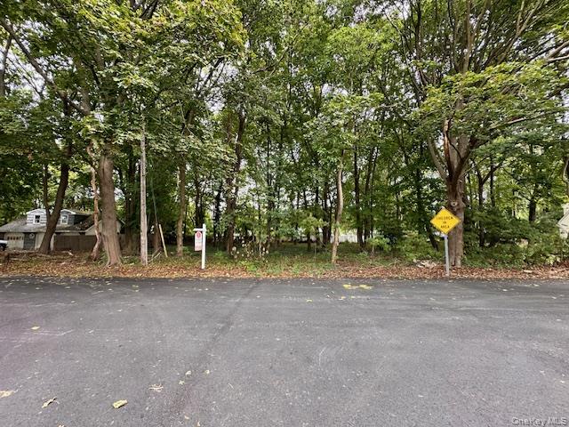 #9 photo, Lot 1 Grant Street, 东长岛 Port Jefferson Station , NY 