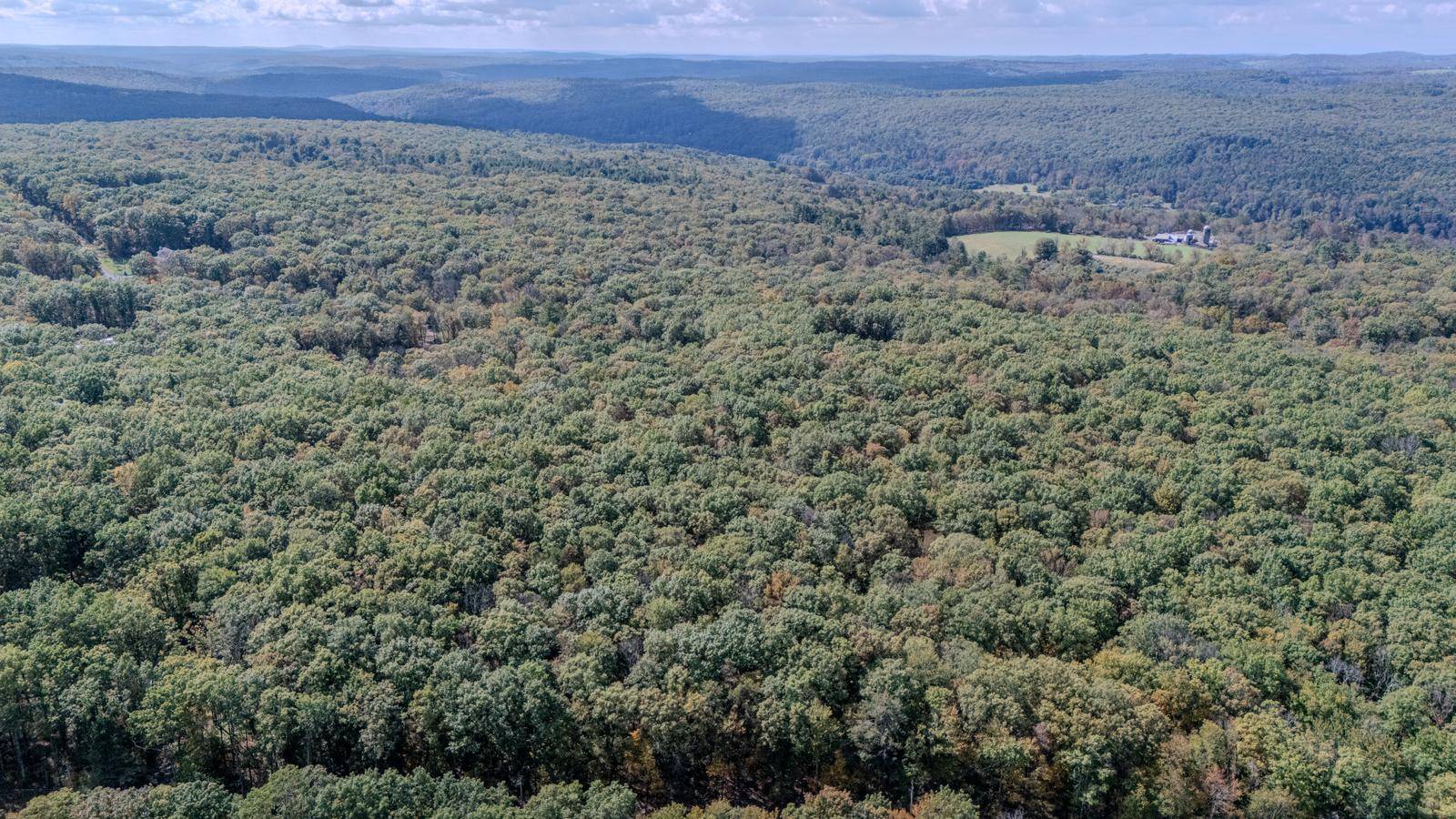 #1 photo, L6.29 Cushetunk Drive, Narrowsburg , NY 12764