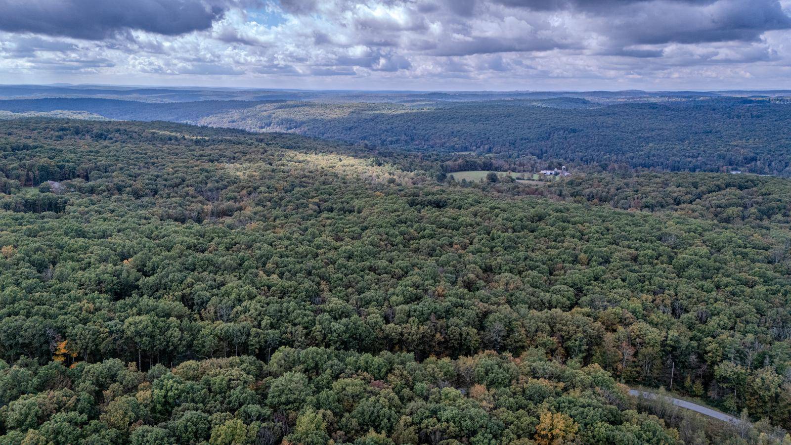 #10 photo, L6.29 Cushetunk Drive, Narrowsburg , NY 12764