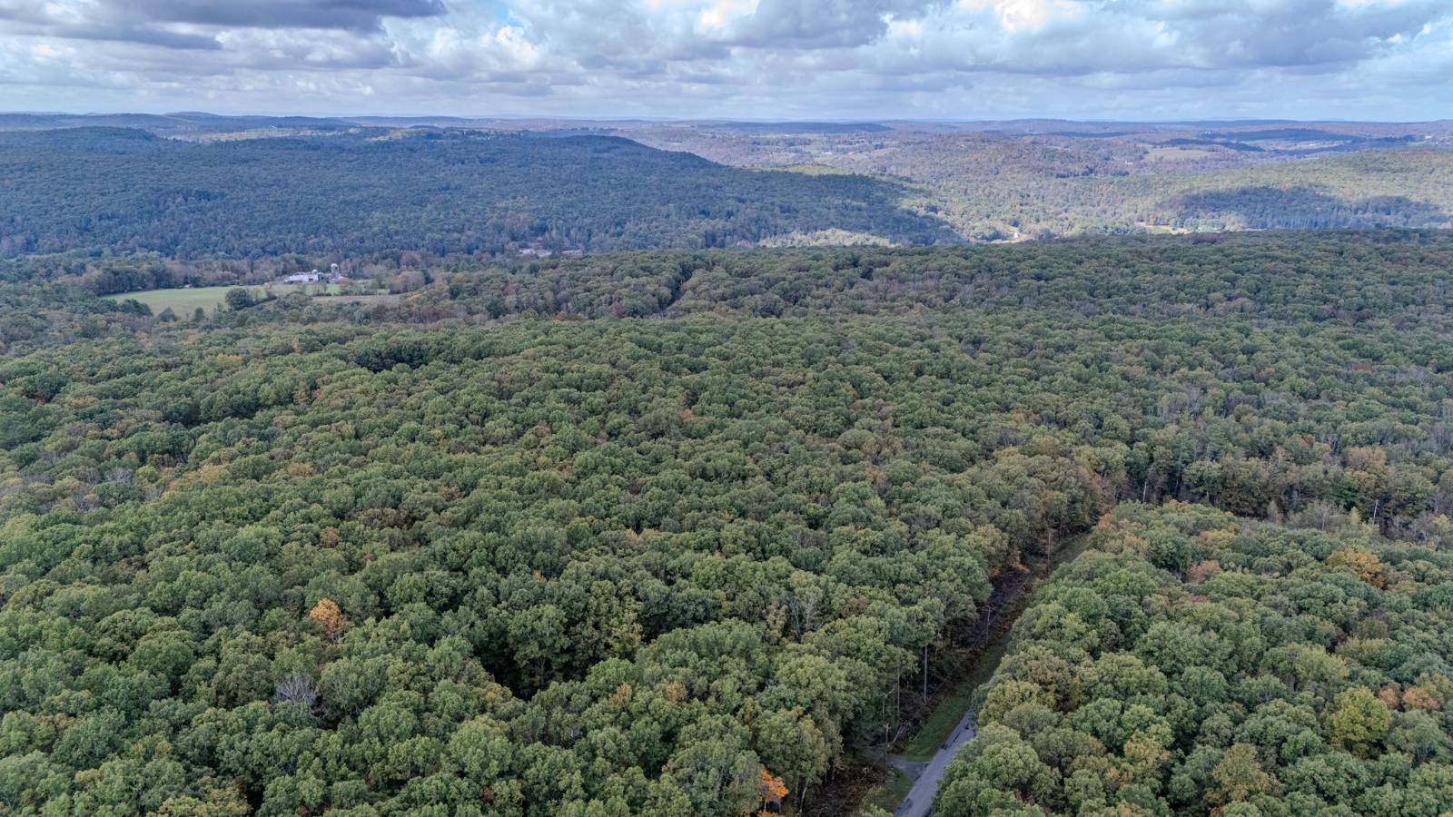 #11 photo, L6.29 Cushetunk Drive, Narrowsburg , NY 12764