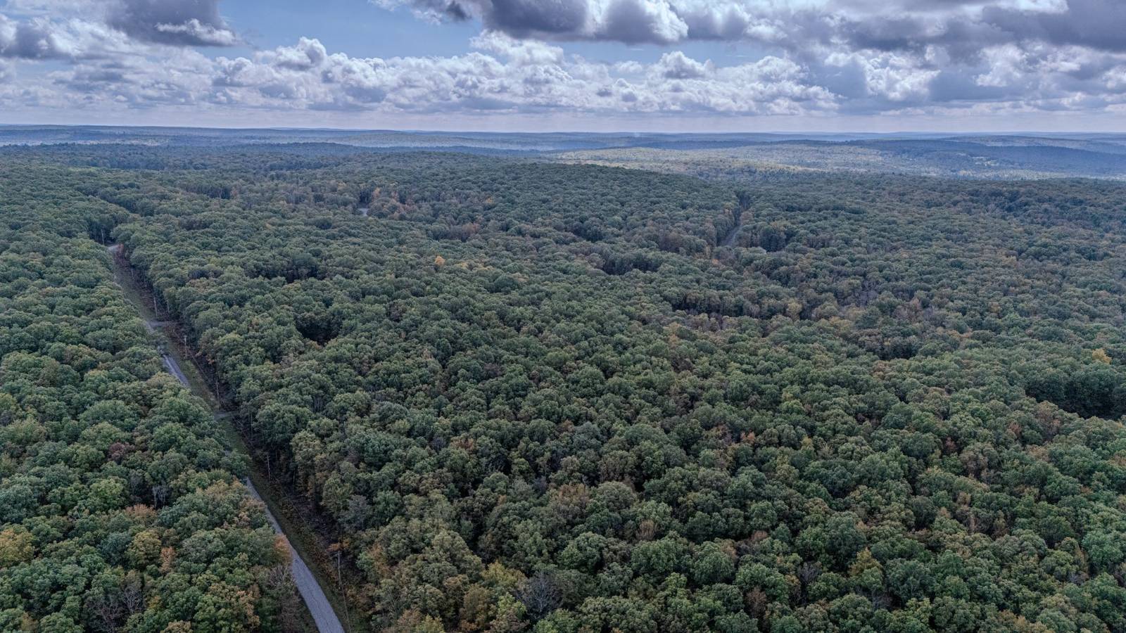 #13 photo, L6.29 Cushetunk Drive, Narrowsburg , NY 12764