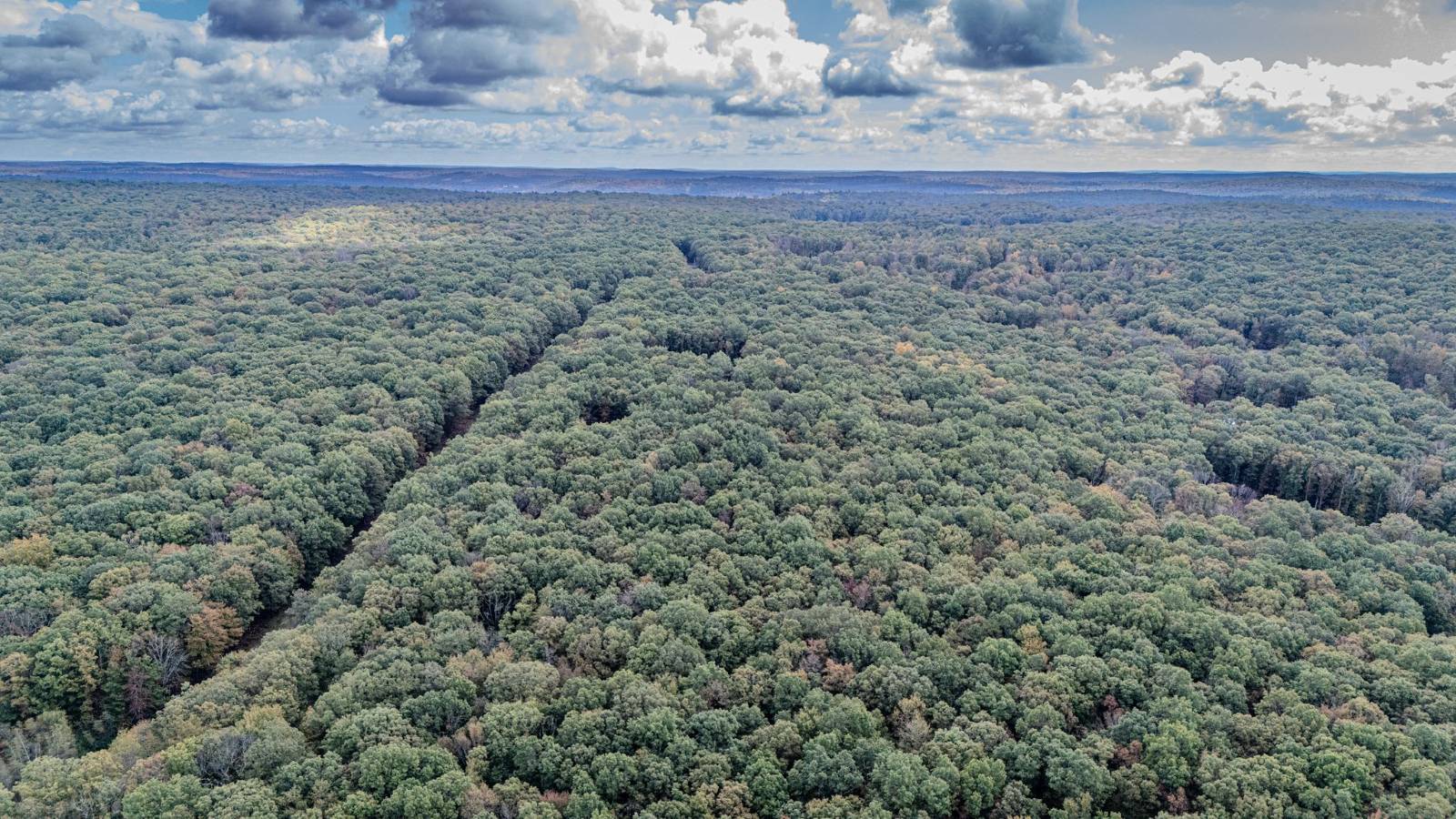 #17 photo, L6.29 Cushetunk Drive, Narrowsburg , NY 12764