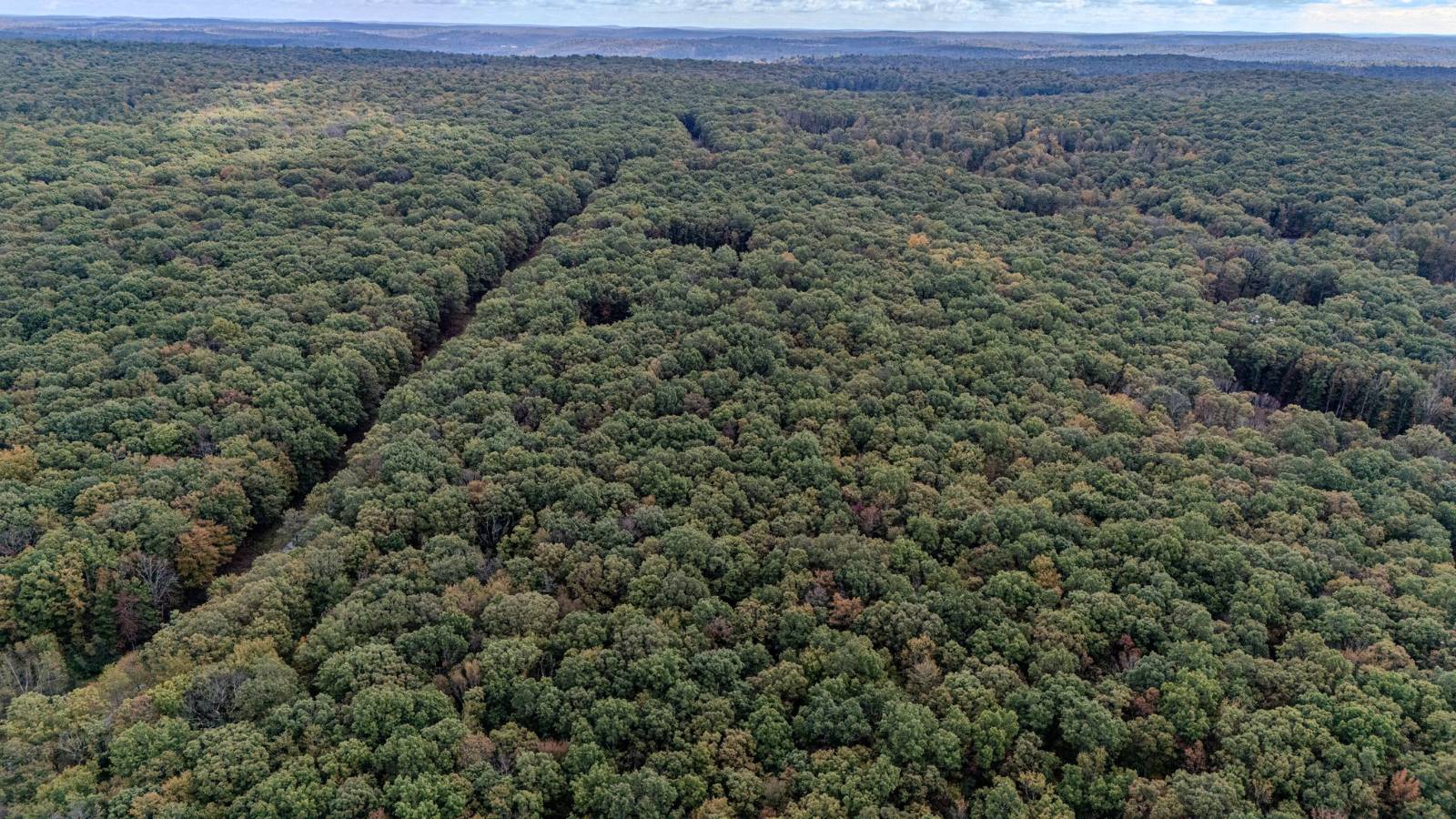 #18 photo, L6.29 Cushetunk Drive, Narrowsburg , NY 12764