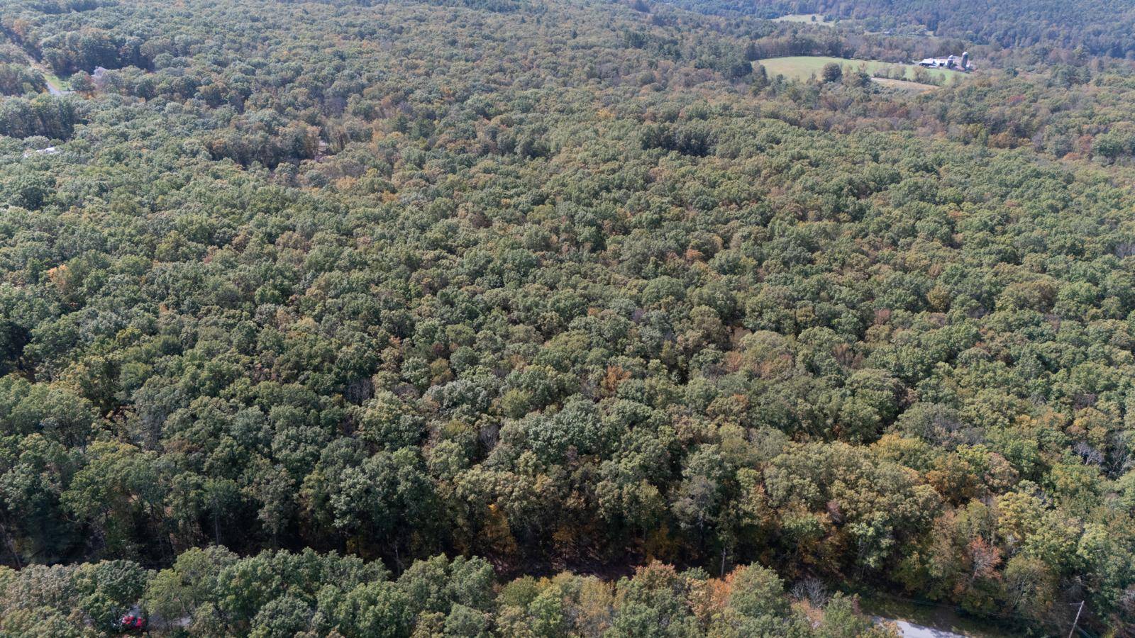 #2 photo, L6.29 Cushetunk Drive, Narrowsburg , NY 12764