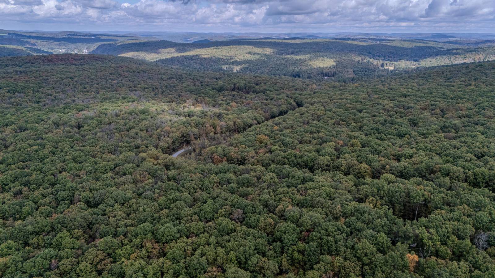 #20 photo, L6.29 Cushetunk Drive, Narrowsburg , NY 12764