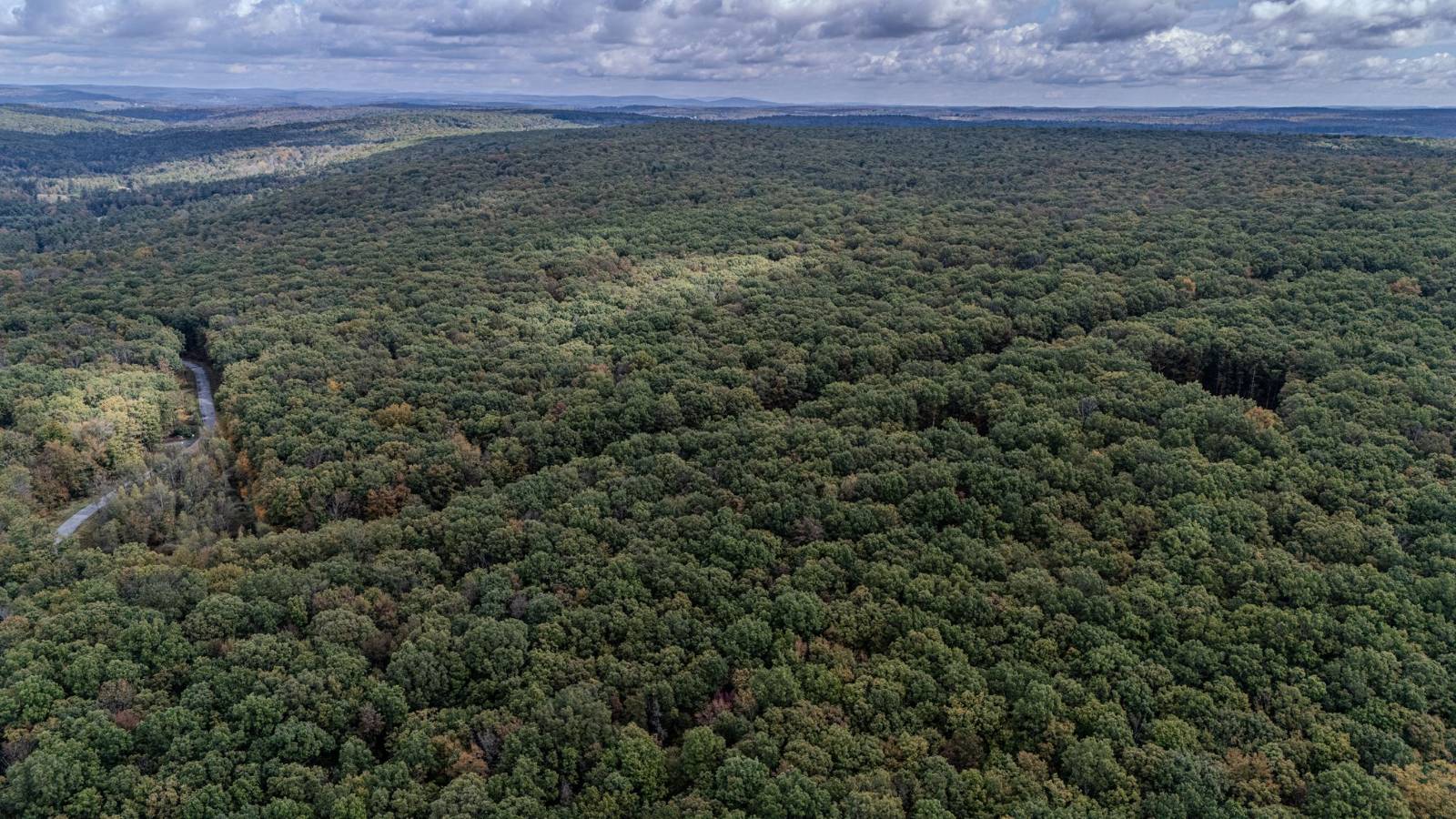 #21 photo, L6.29 Cushetunk Drive, Narrowsburg , NY 12764