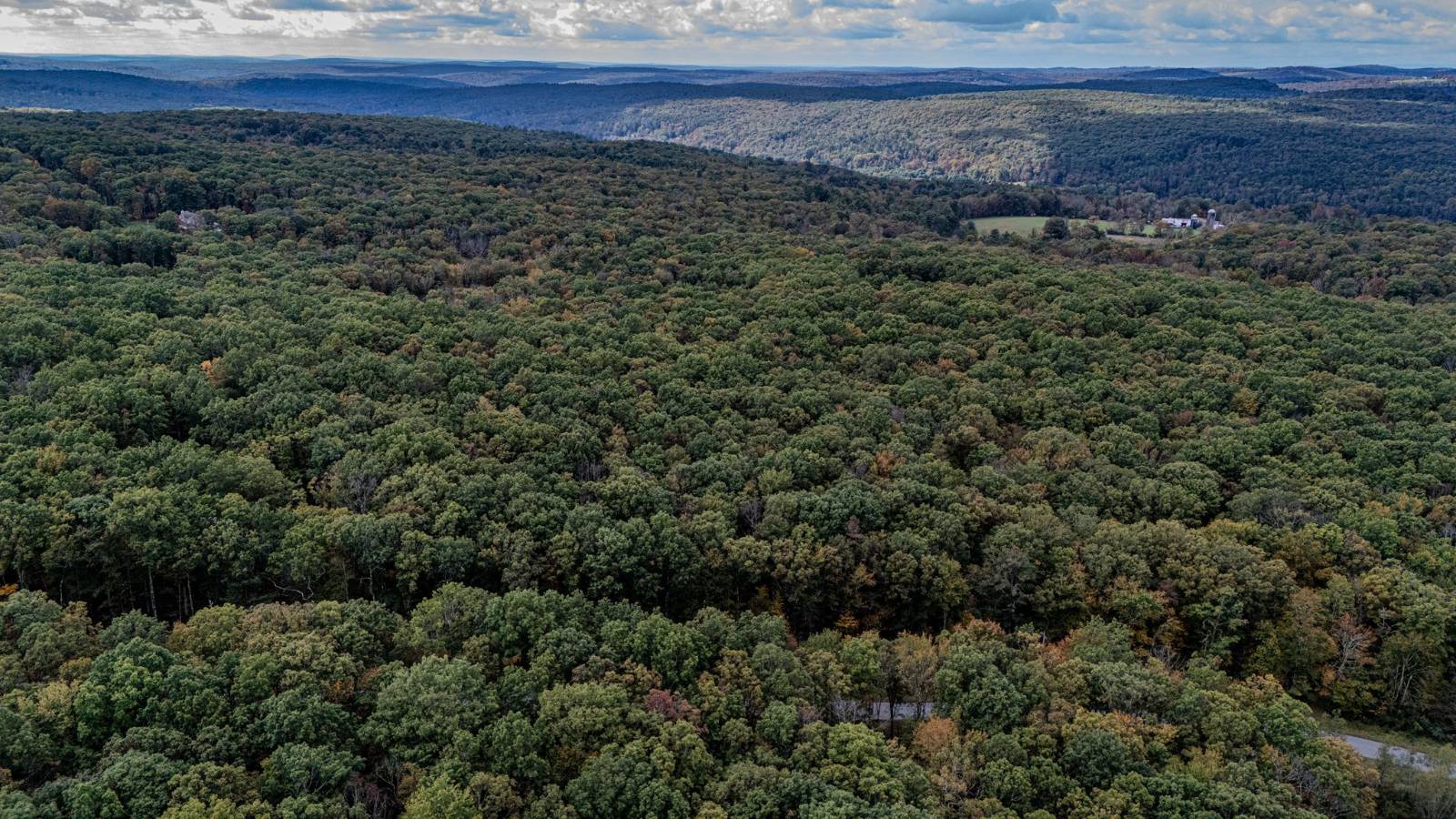 #22 photo, L6.29 Cushetunk Drive, Narrowsburg , NY 12764