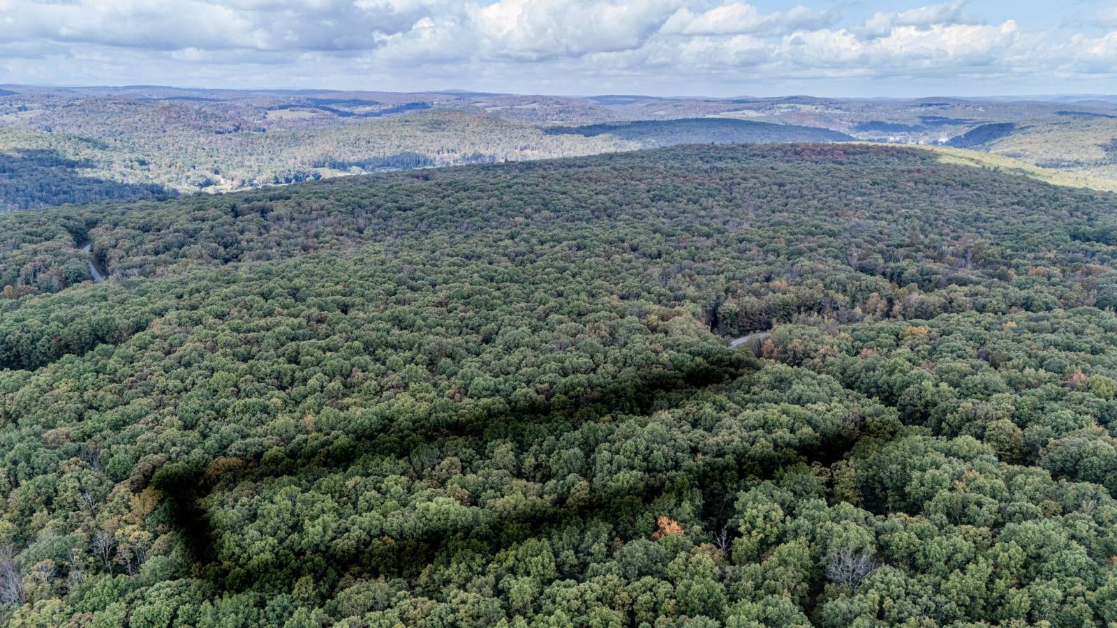 #25 photo, L6.29 Cushetunk Drive, Narrowsburg , NY 12764