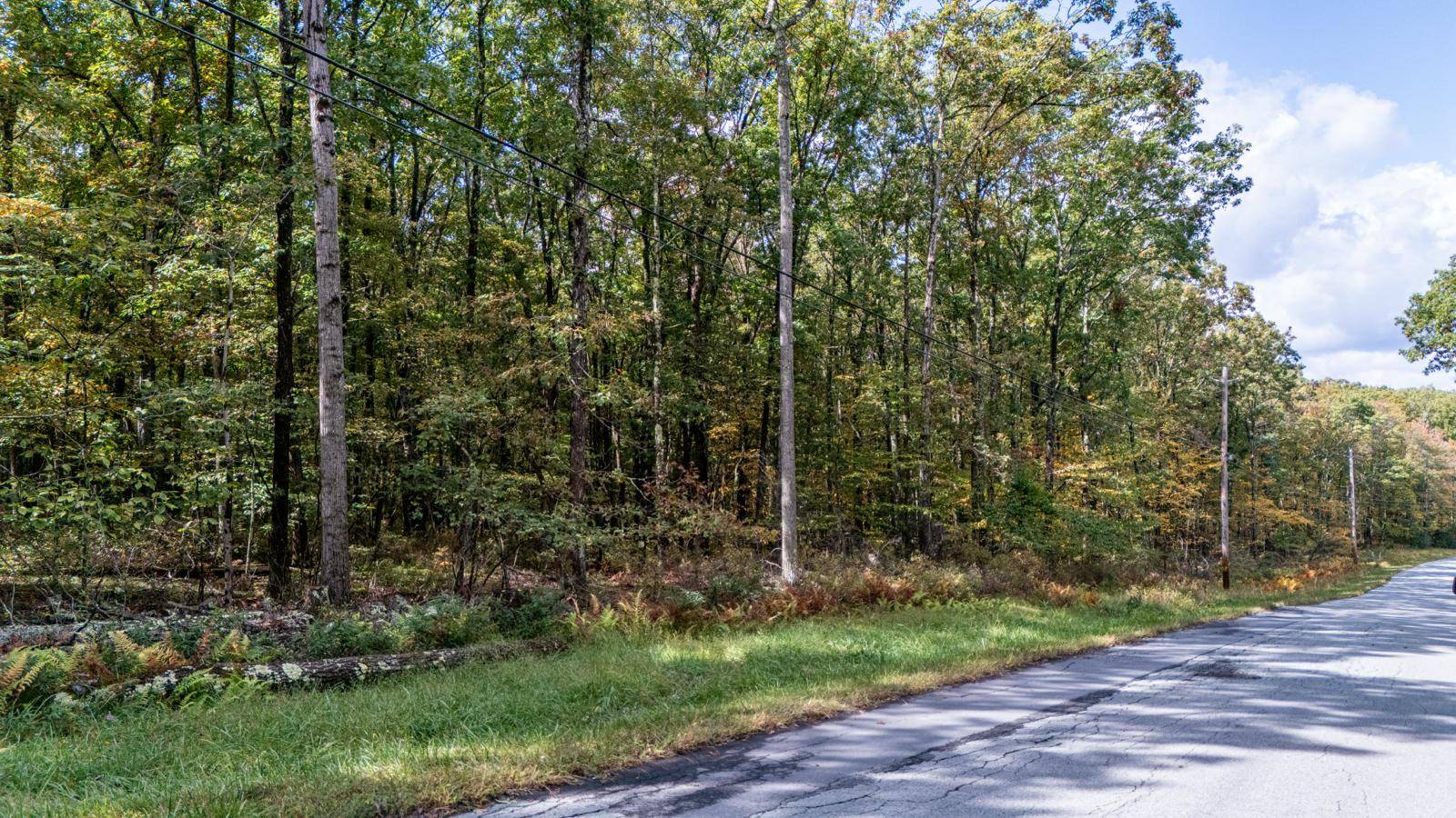 #3 photo, L6.29 Cushetunk Drive, Narrowsburg , NY 12764