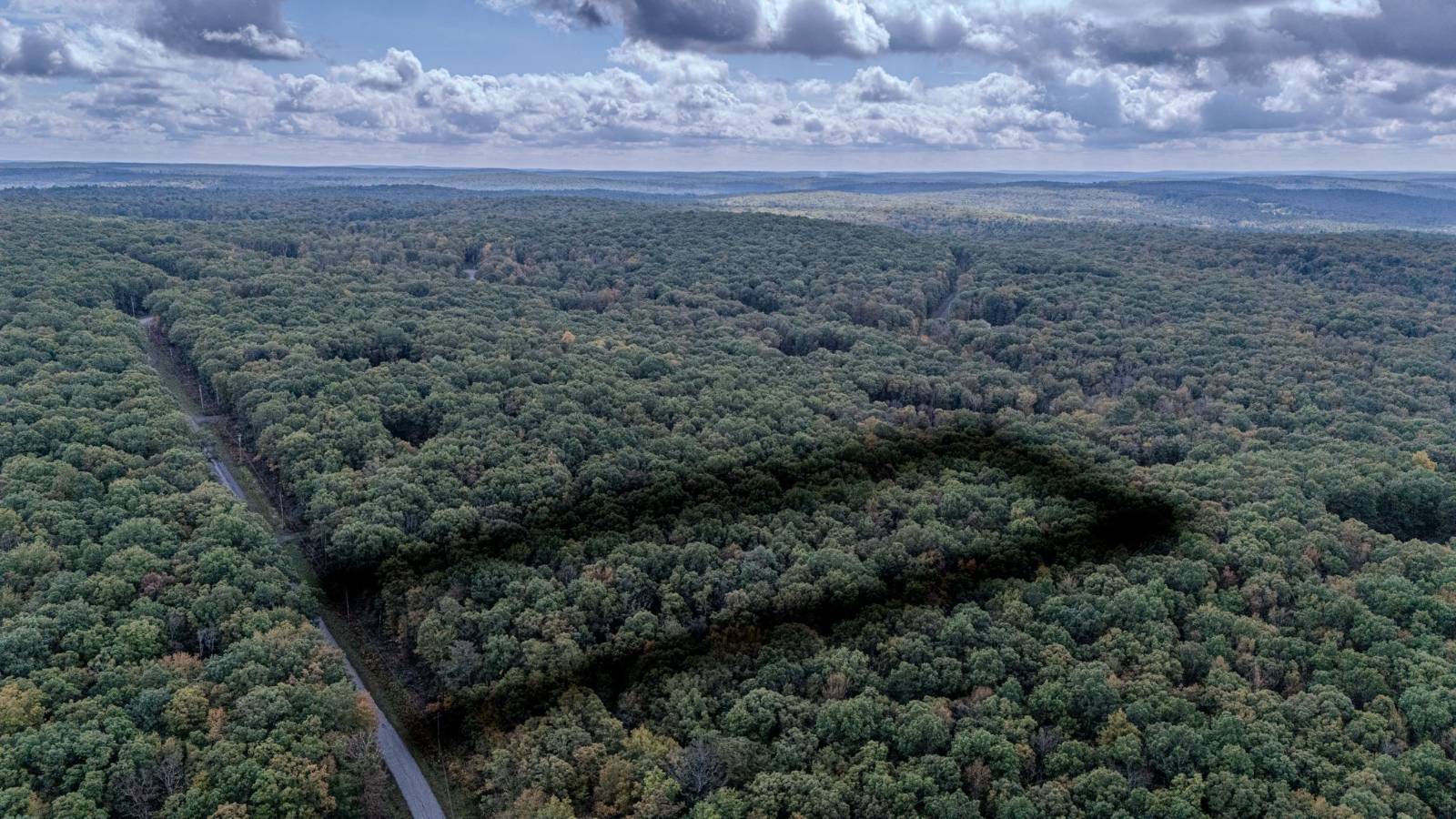 #31 photo, L6.29 Cushetunk Drive, Narrowsburg , NY 12764