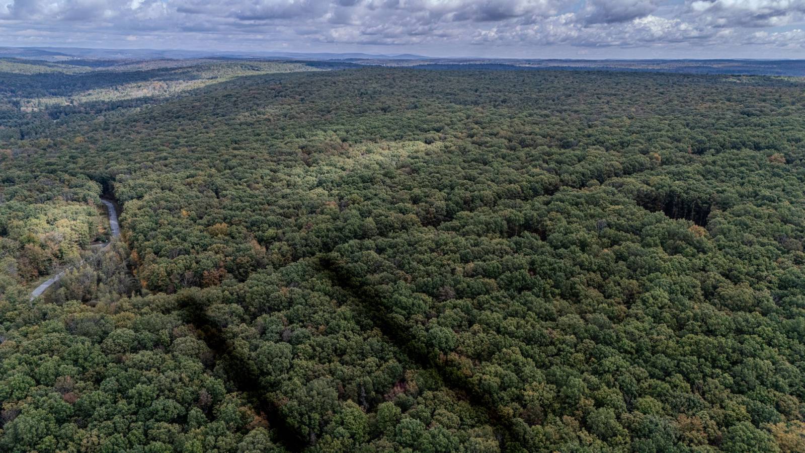 #33 photo, L6.29 Cushetunk Drive, Narrowsburg , NY 12764