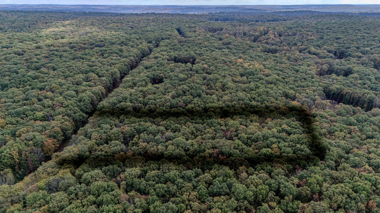 #34 photo, L6.29 Cushetunk Drive, Narrowsburg , NY 12764