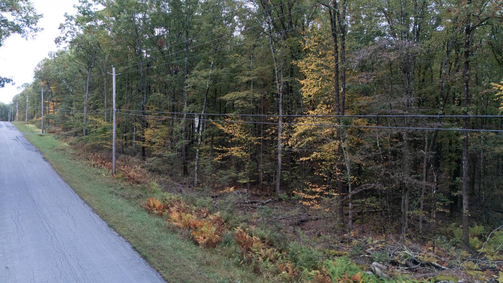 #5 photo, L6.29 Cushetunk Drive, Narrowsburg , NY 12764