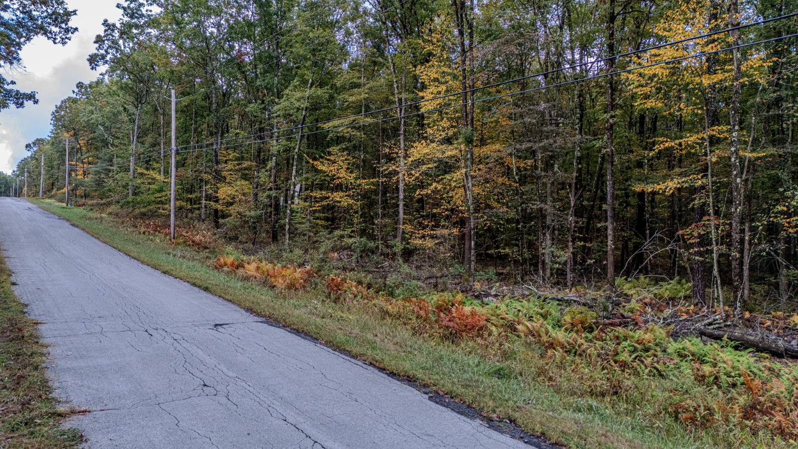 #6 photo, L6.29 Cushetunk Drive, Narrowsburg , NY 12764