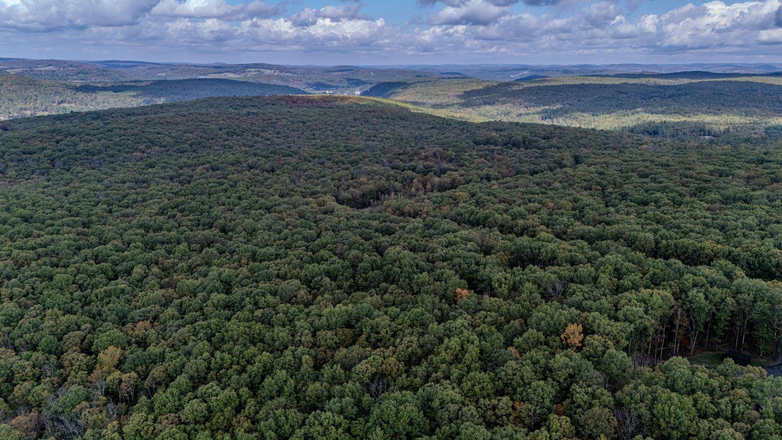 #7 photo, L6.29 Cushetunk Drive, Narrowsburg , NY 12764