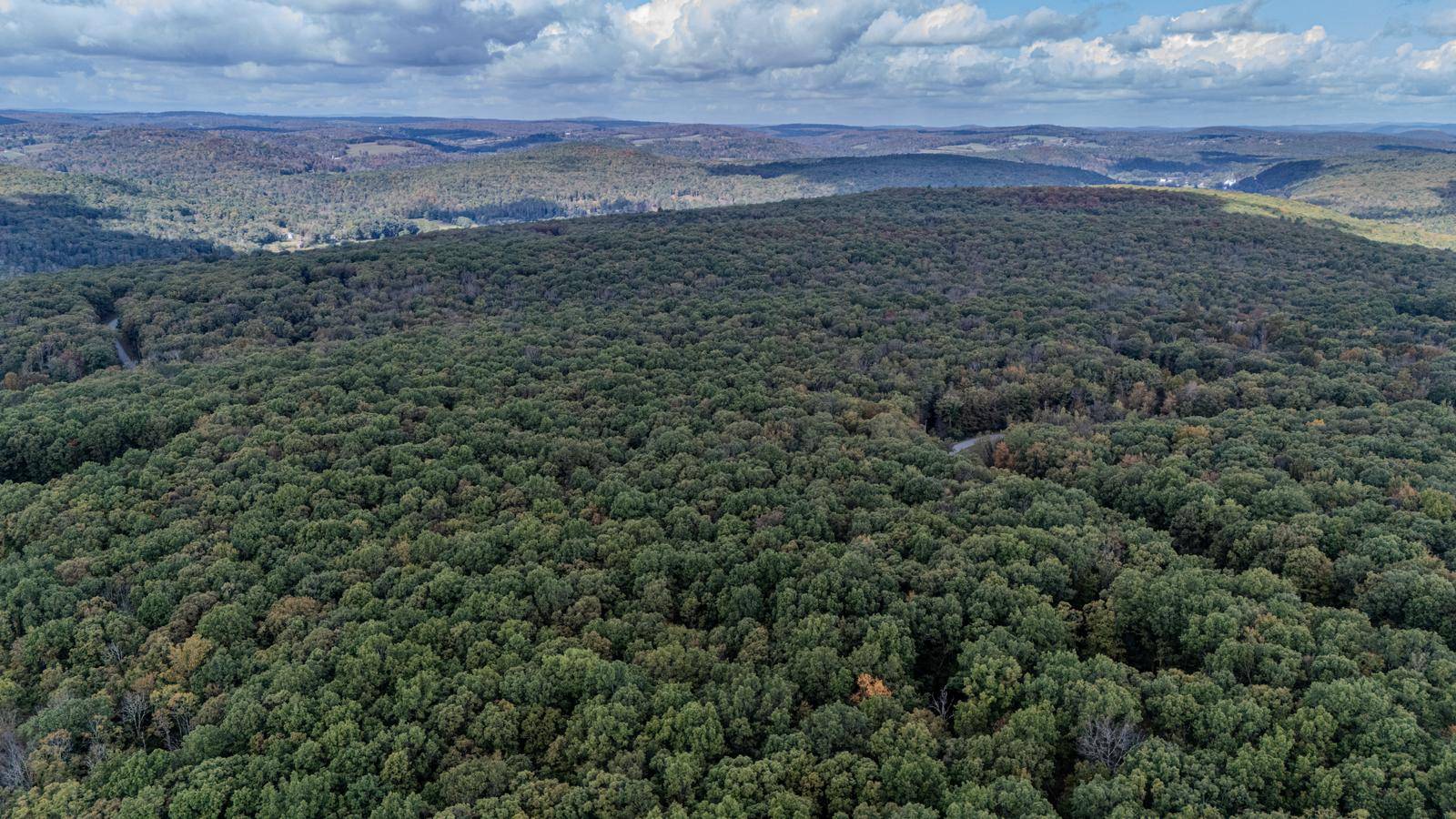 #8 photo, L6.29 Cushetunk Drive, Narrowsburg , NY 12764