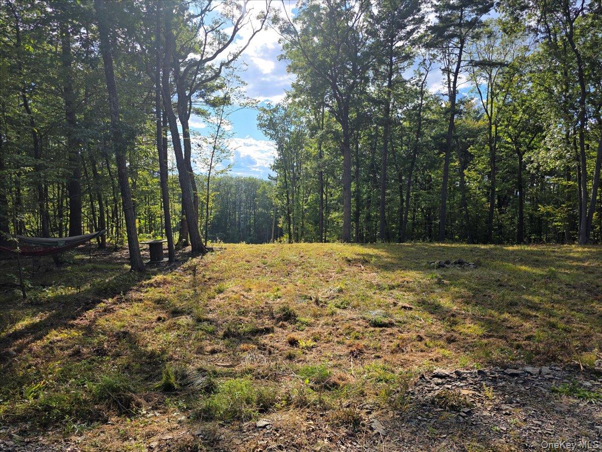 #10 photo, 1927 County Route 67, Cairo , NY 12413