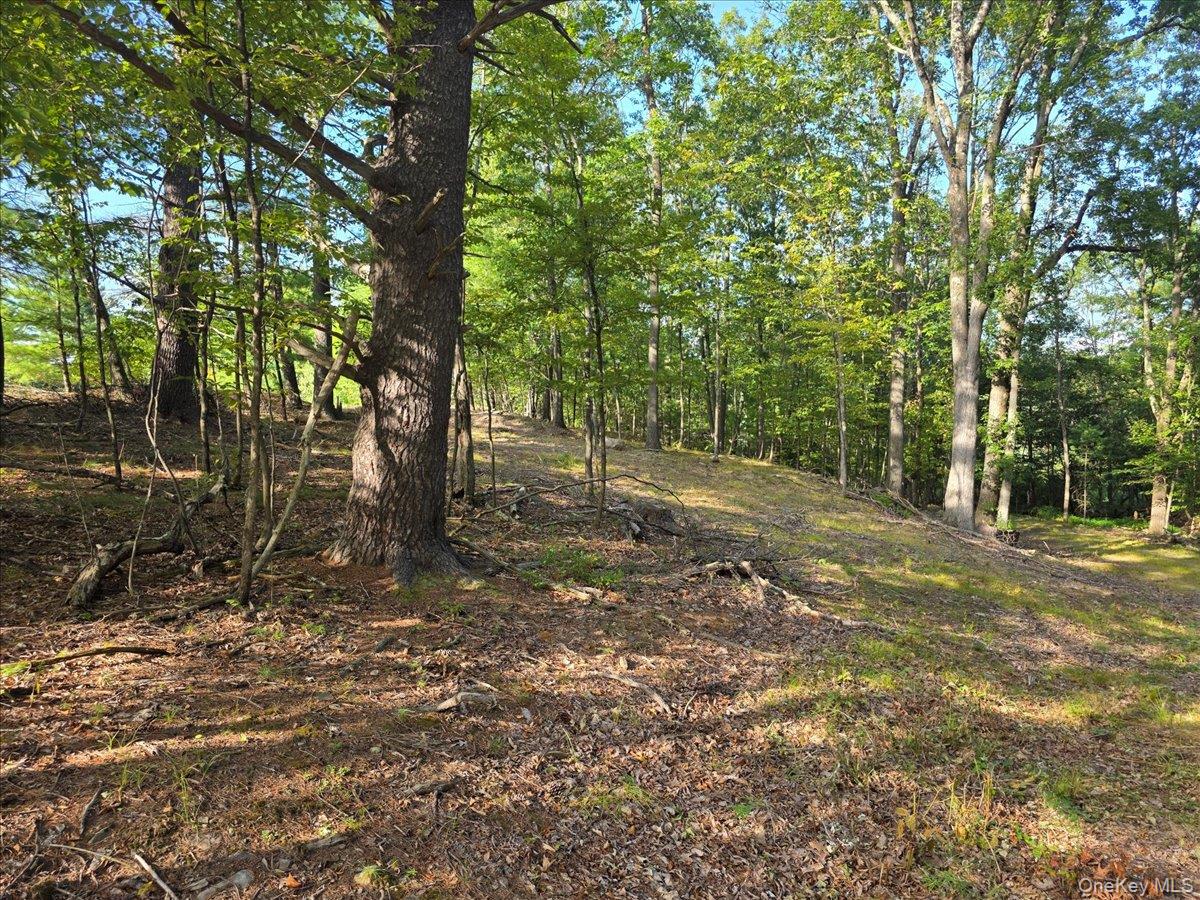 #11 photo, 1927 County Route 67, Cairo , NY 12413