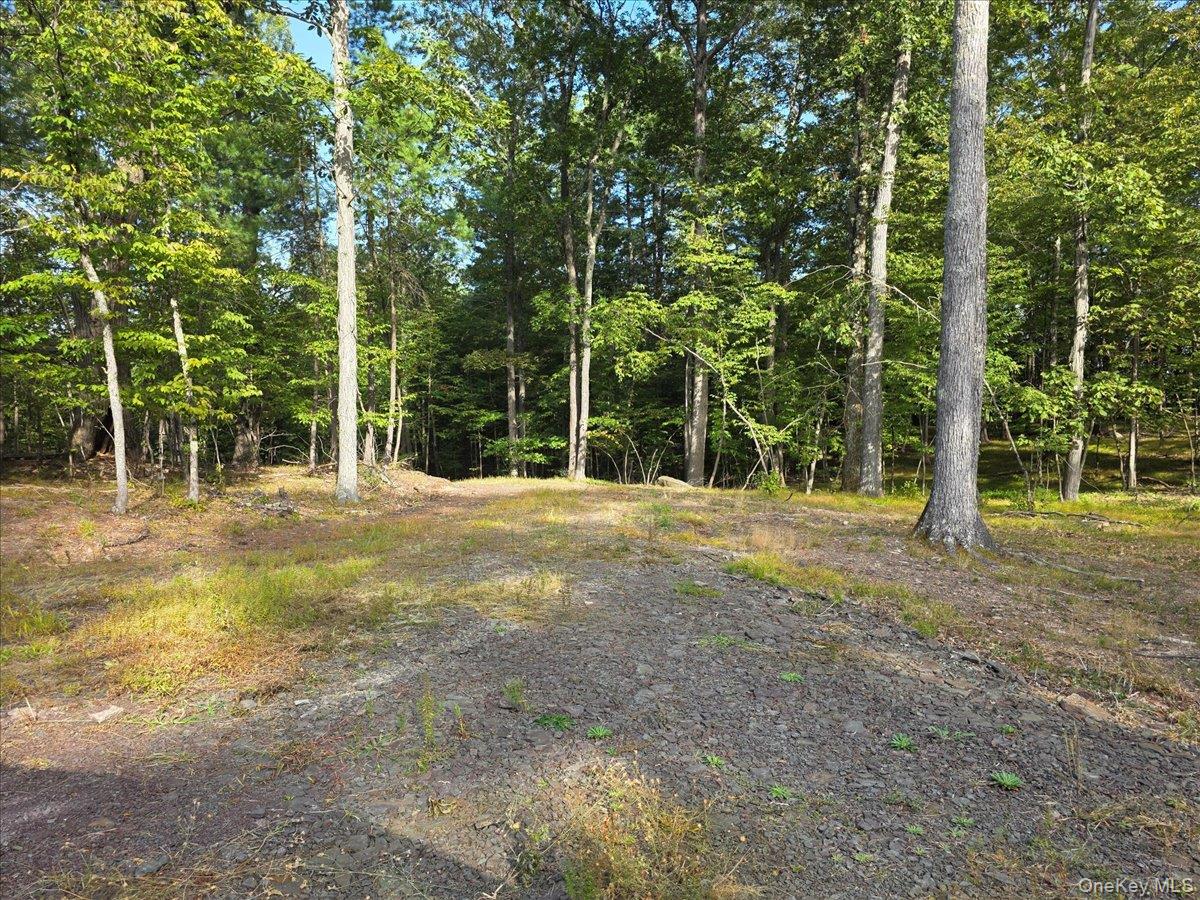 #12 photo, 1927 County Route 67, Cairo , NY 12413