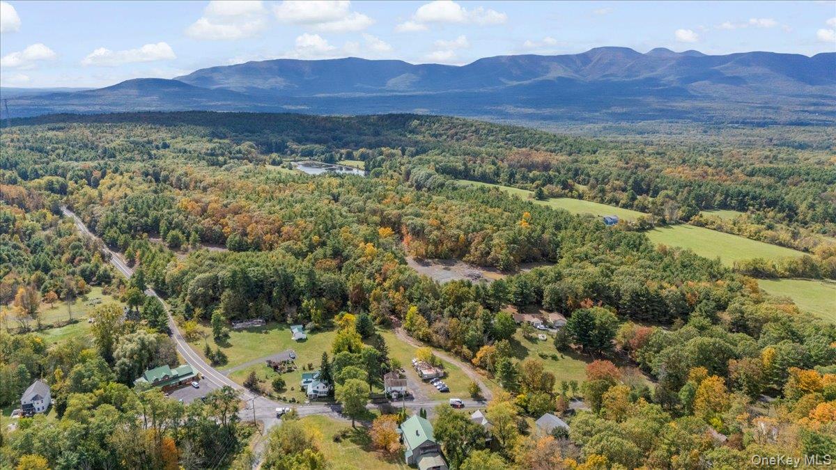 #13 photo, 1927 County Route 67, Cairo , NY 12413