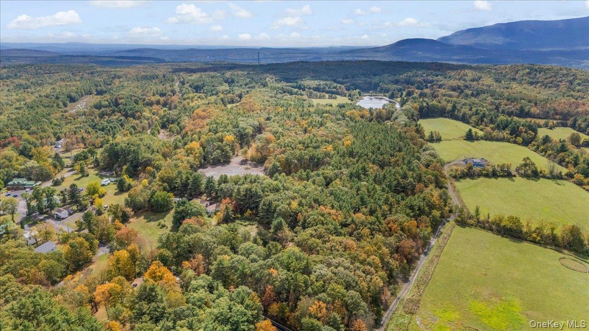 #15 photo, 1927 County Route 67, Cairo , NY 12413